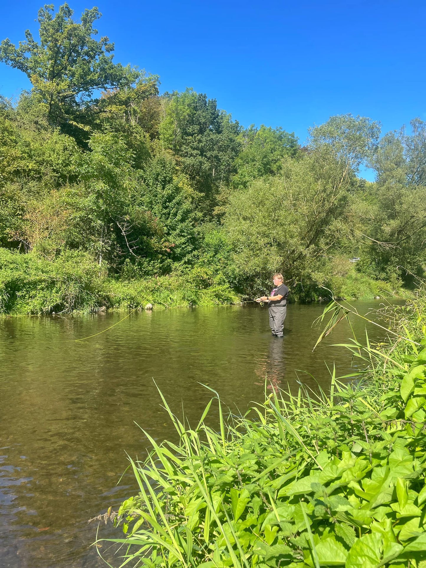 zu sehen ist ein Fliegenfischer, der im Bach steht