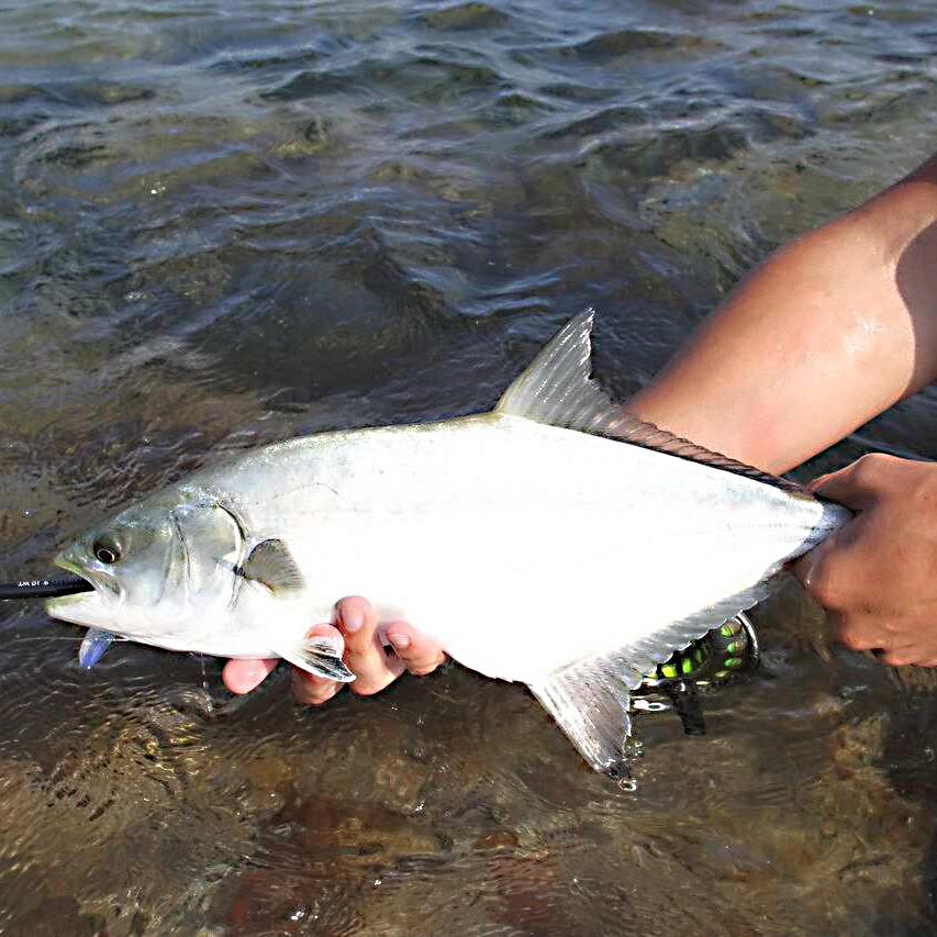 zu sehen ist ein gefangener Leerfisch