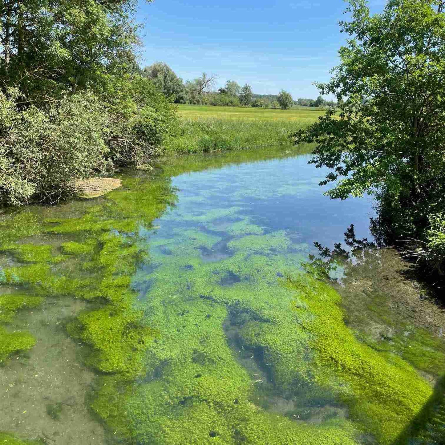 zu sehen ist eine Bachstelle mit schönem Grund