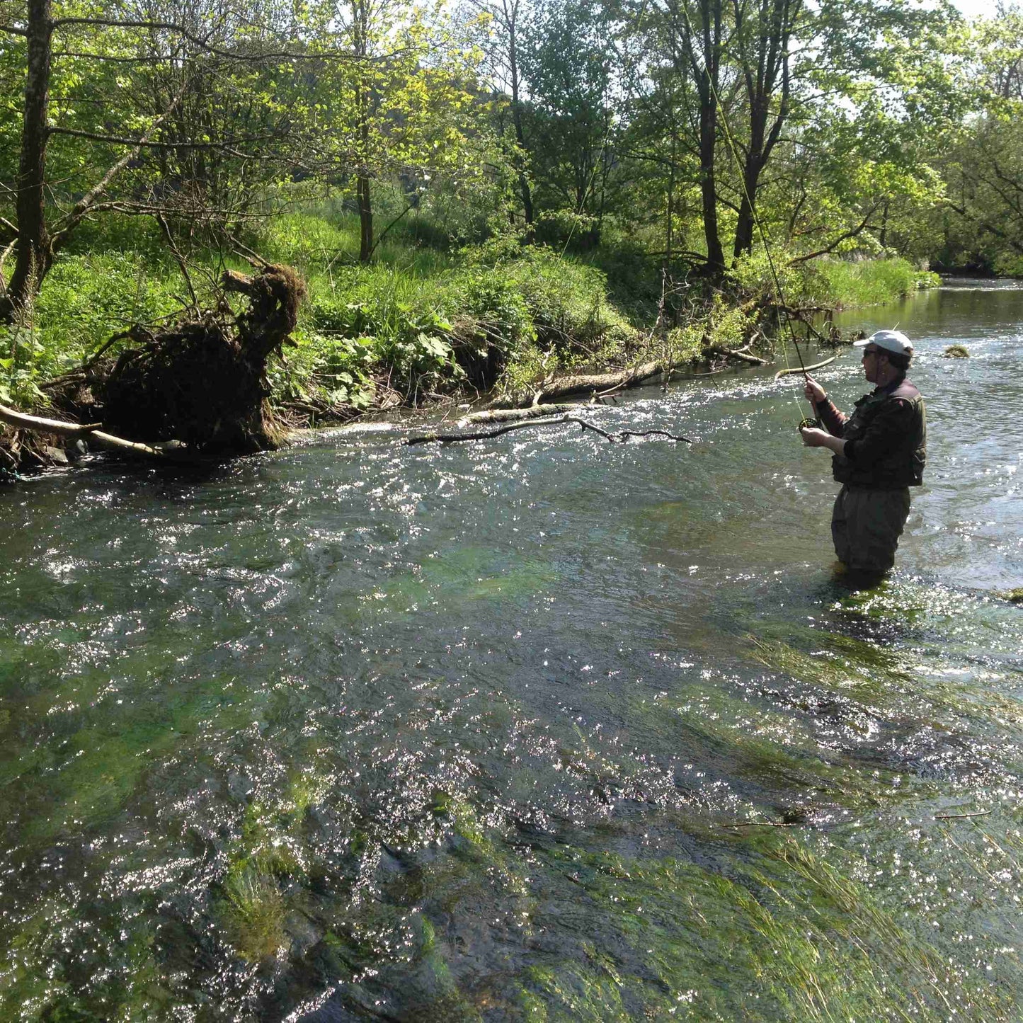 zu sehen ist ein Fliegenfischer kniehoch im Bach stehen und die Rute werfend